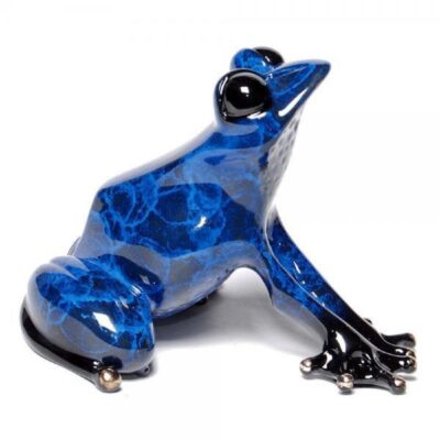 A blue frog sitting on the ground