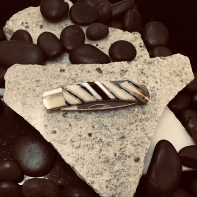 A white and black striped tie clip on some rocks