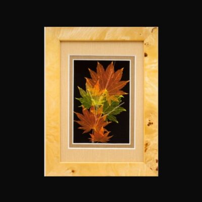 A picture of leaves in a frame.