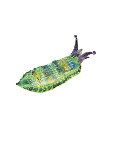 Mazet Studios - Nudibranch